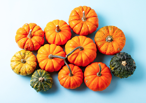 The Season for Giving Thanks